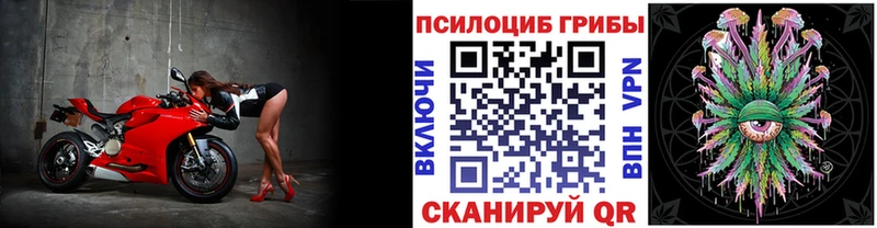 хочу наркоту  Туймазы  hydra ссылка  Галлюциногенные грибы мухоморы 